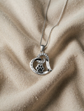 Stylisches Hundehalsband – aus rostfreiem Stahl